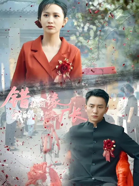 《错换姻缘，我的老公竟然是厂长》：这剧情的神奇走向，让我怀疑人生！