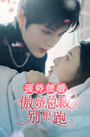 强势锁婚：傲娇总裁别想跑 - 霸道总裁的强制爱恋，职场风云与心动狙击！